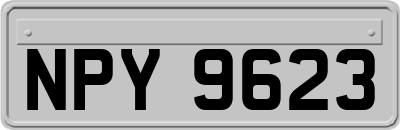 NPY9623