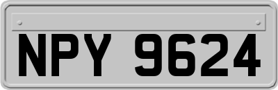 NPY9624