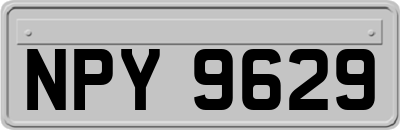 NPY9629