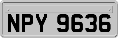 NPY9636
