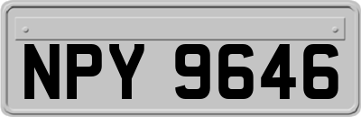 NPY9646