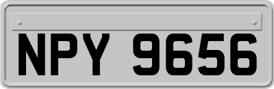 NPY9656