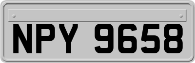 NPY9658