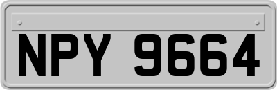 NPY9664