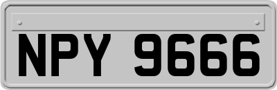 NPY9666