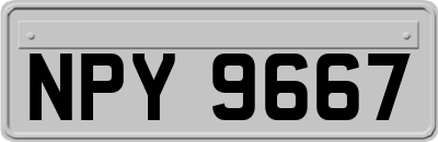 NPY9667