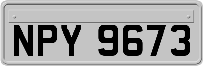 NPY9673