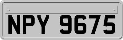 NPY9675