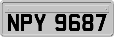 NPY9687