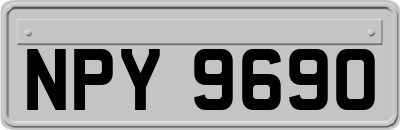 NPY9690