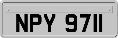 NPY9711