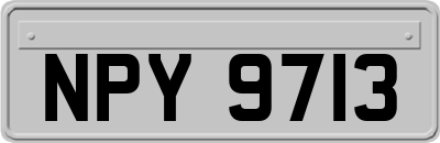 NPY9713
