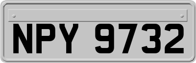 NPY9732