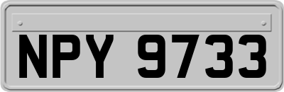 NPY9733