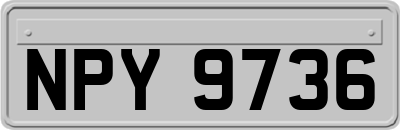 NPY9736