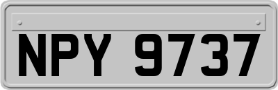 NPY9737