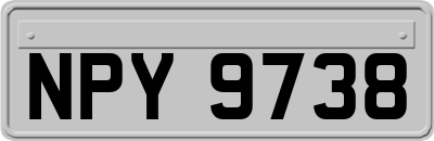 NPY9738