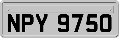 NPY9750
