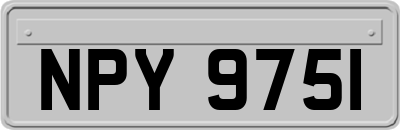 NPY9751