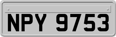 NPY9753