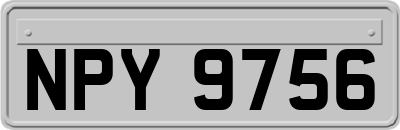 NPY9756