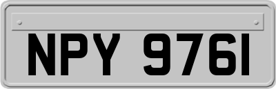NPY9761