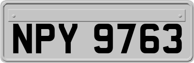 NPY9763