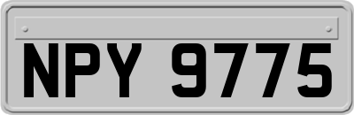 NPY9775