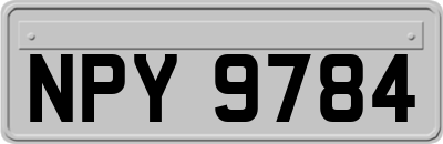 NPY9784
