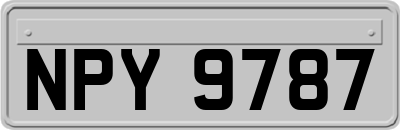 NPY9787