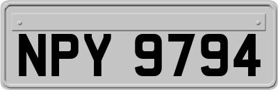NPY9794