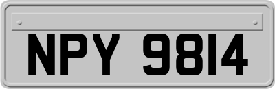 NPY9814