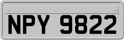 NPY9822