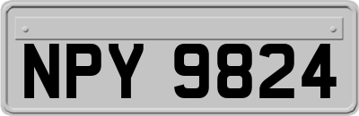 NPY9824