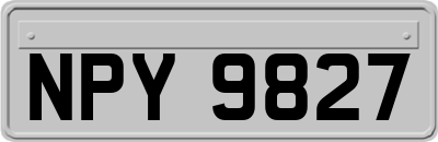 NPY9827