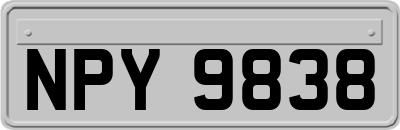NPY9838