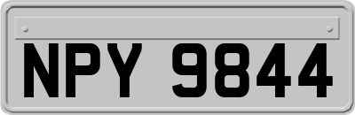NPY9844