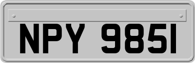 NPY9851