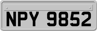 NPY9852