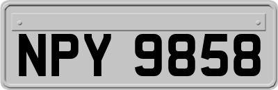 NPY9858