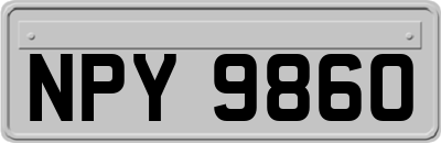 NPY9860