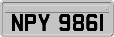 NPY9861