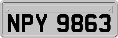 NPY9863