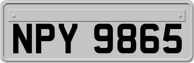 NPY9865