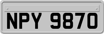 NPY9870