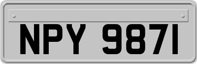 NPY9871