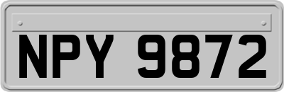 NPY9872