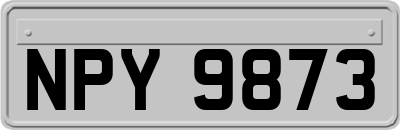 NPY9873
