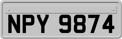 NPY9874