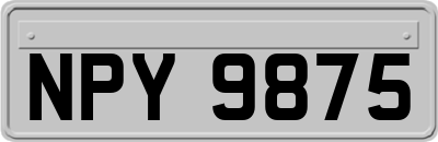 NPY9875